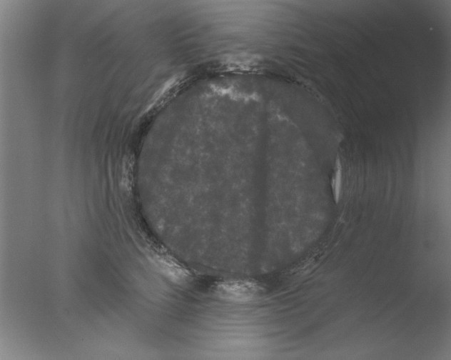 X0000076060712200610201948