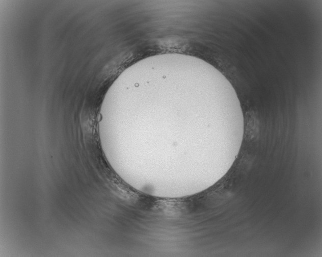 X0000076060713200610201948