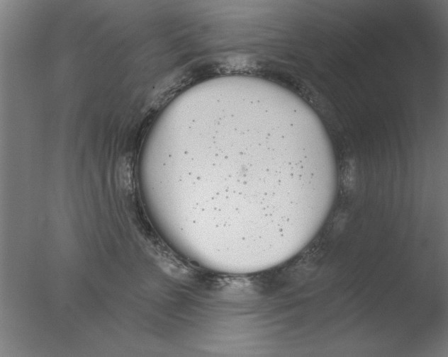 X0000076060715200610201948