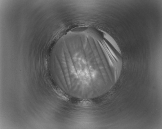 X0000076060716200610201948