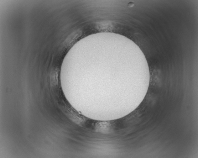 X0000076060717200610201948