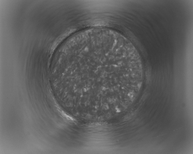 X0000076060721200610201947