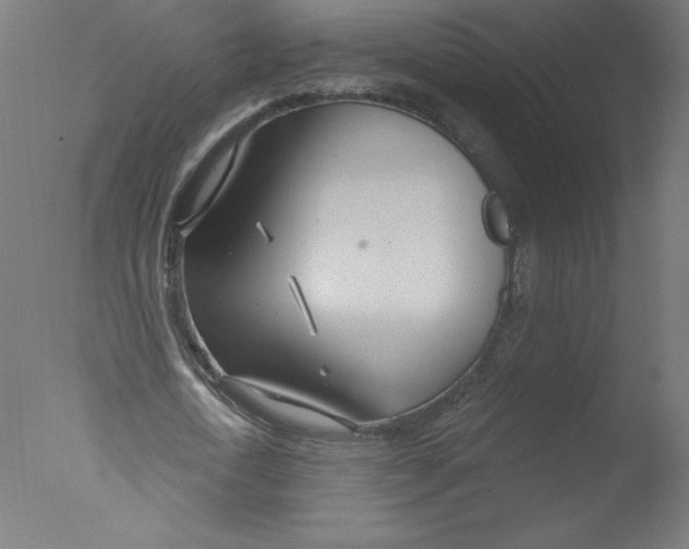 X0000076060722200610201947