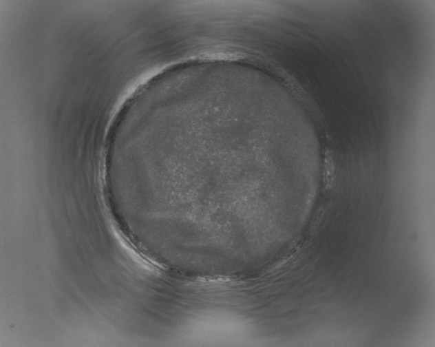 X0000076060726200610201947