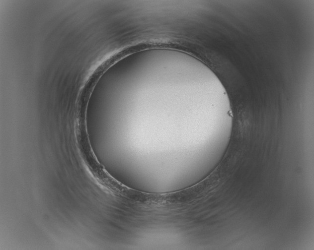 X0000076060728200610201947