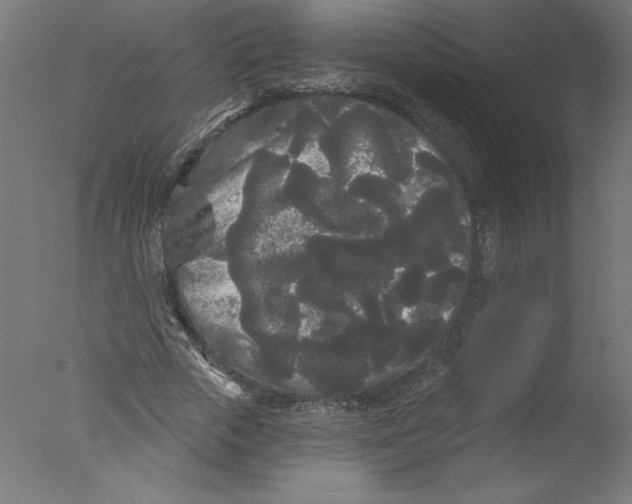 X0000076060729200610201947