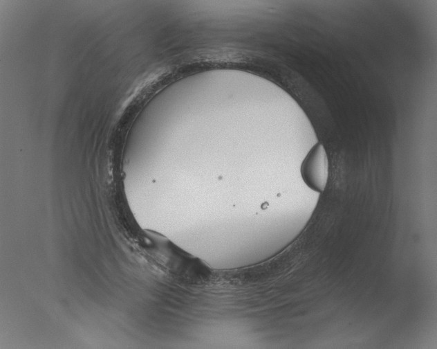 X0000076060731200610201947