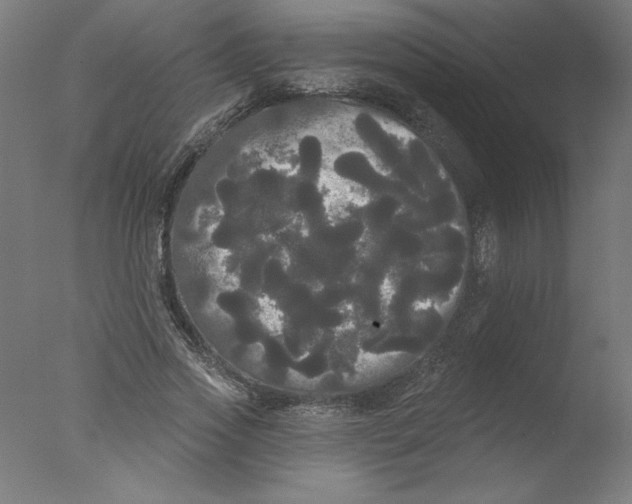 X0000076060733200610201947