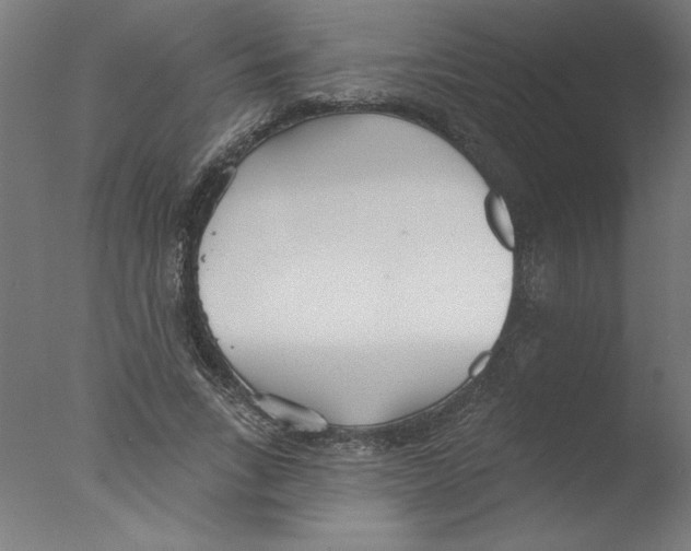 X0000076060735200610201947