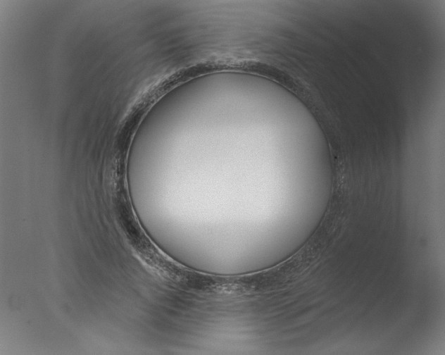 X0000076060736200610201947