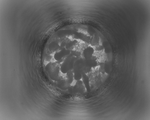 X0000076060737200610201947