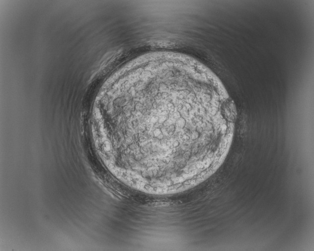 X0000076060738200610201947