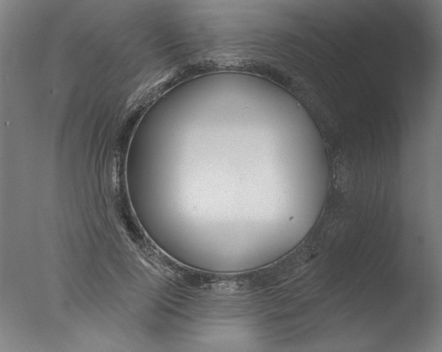 X0000076060740200610201947