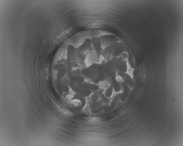 X0000076060741200610201947