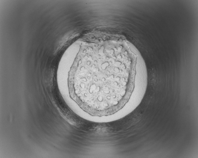 X0000076060742200610201947