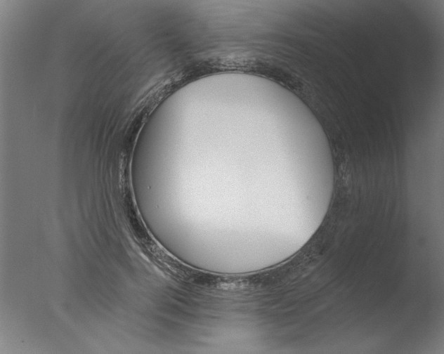 X0000076060744200610201947