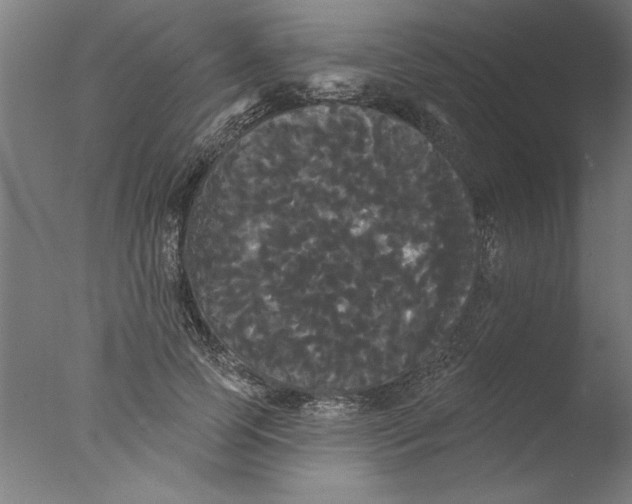 X0000076060745200610201947