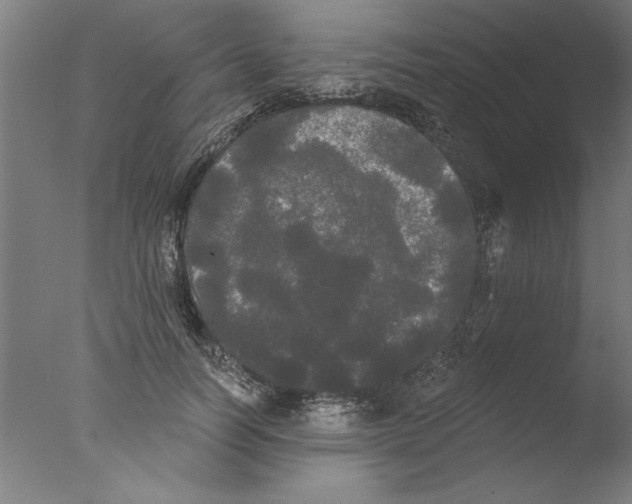 X0000076060746200610201947