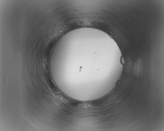 X0000076060747200610201948