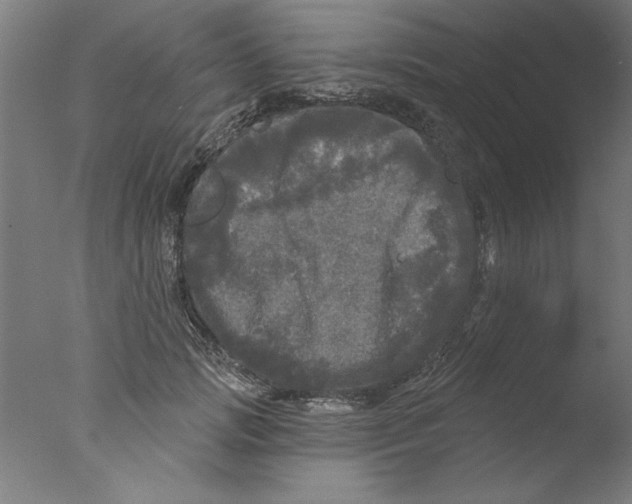 X0000076060749200610201948