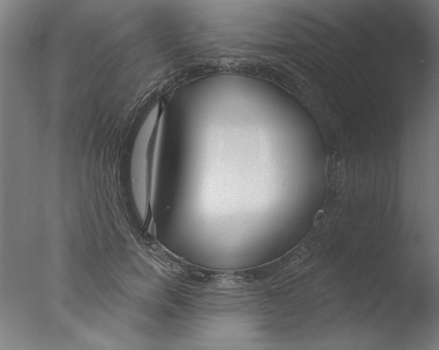 X0000076060750200610201948