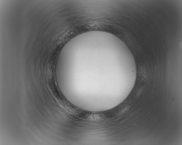 X0000076060751200610201948