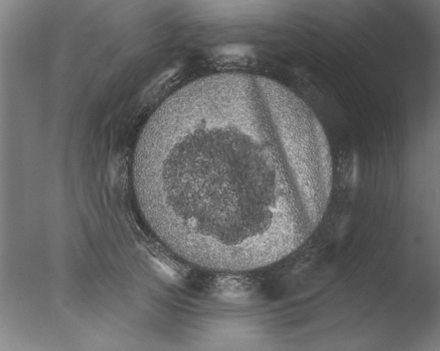 X0000076060753200610201948