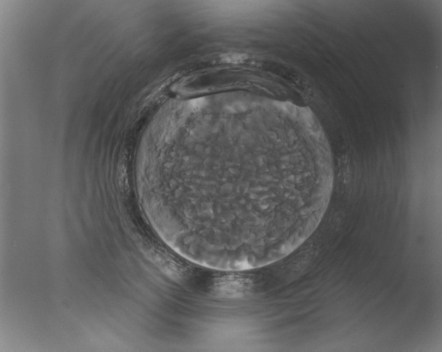 X0000076060754200610201948