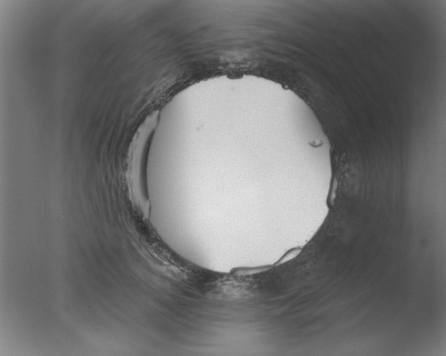 X0000076060756200610201948