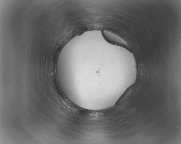 X0000076060760200610201948