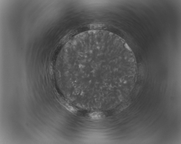 X0000076060761200610201948