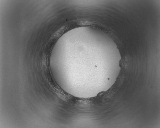 X0000076060763200610201948