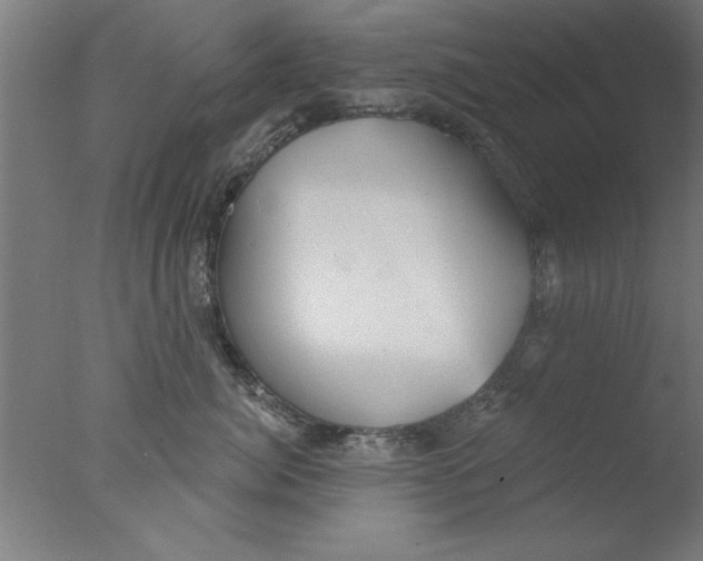 X0000076060764200610201948