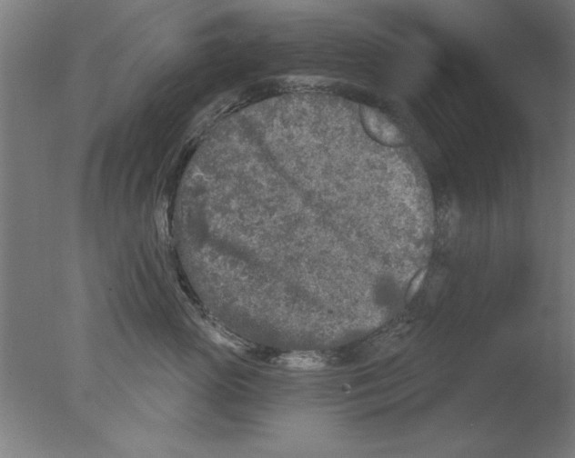 X0000076060765200610201948