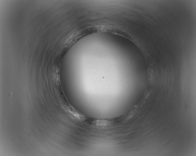 X0000076060766200610201948