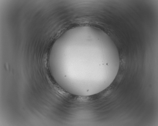 X0000076060767200610201948