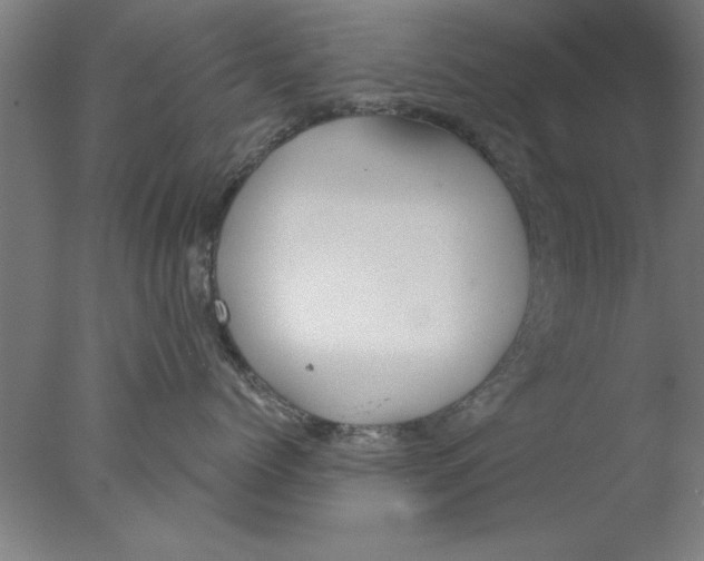 X0000076060768200610201948