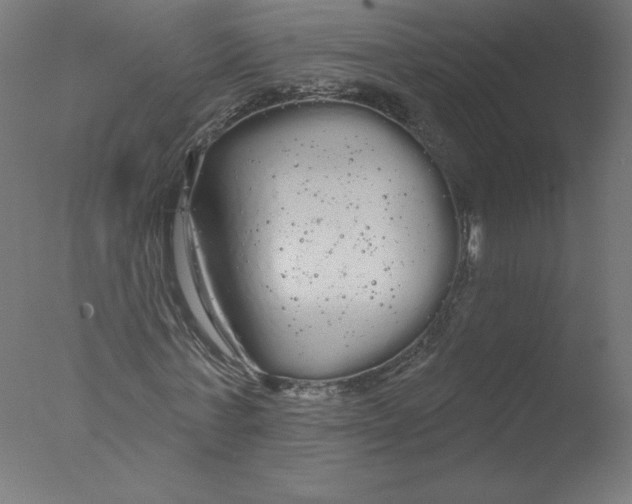 X0000076060771200610201947