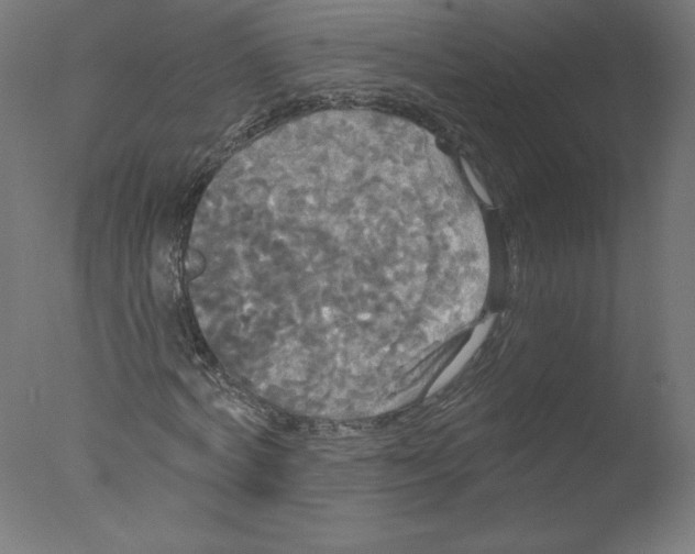 X0000076060772200610201947