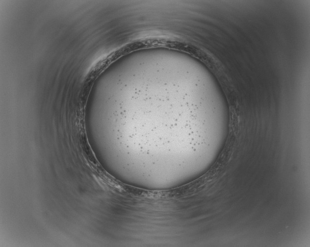 X0000076060775200610201947