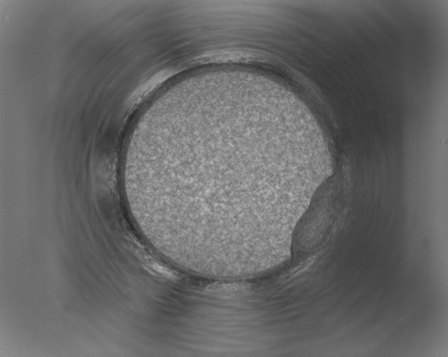 X0000076060778200610201947