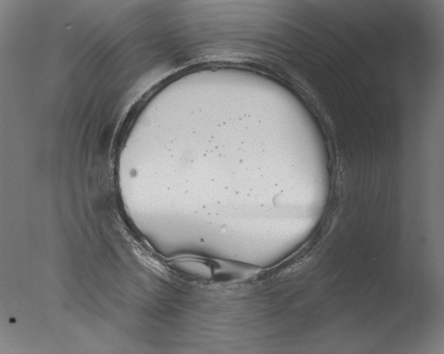 X0000076060779200610201947