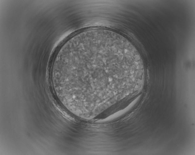 X0000076060780200610201947