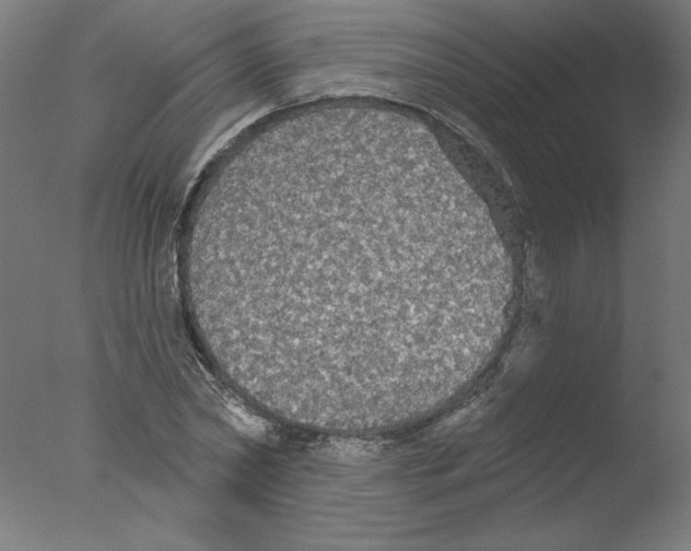 X0000076060782200610201947