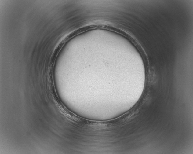 X0000076060783200610201947