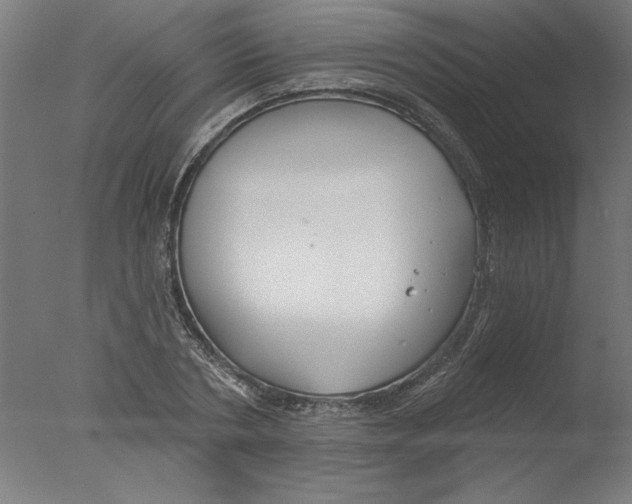 X0000076060786200610201947