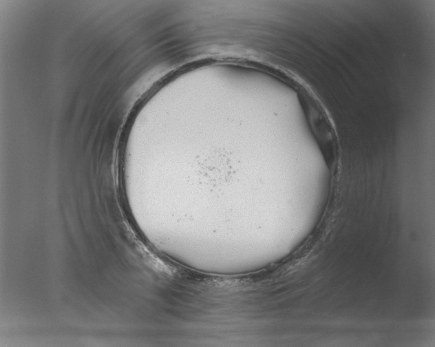 X0000076060791200610201947