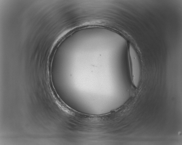 X0000076060792200610201947