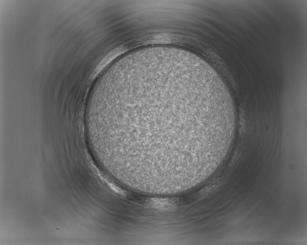 X0000076060794200610201947