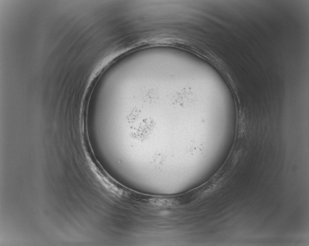 X0000076060795200610201947